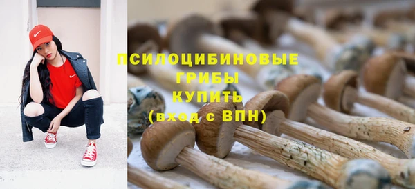 стафф Новодвинск