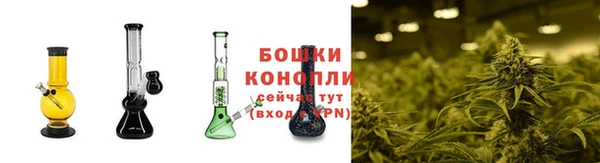 стафф Новодвинск
