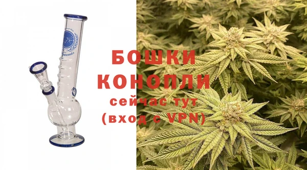 стафф Новодвинск