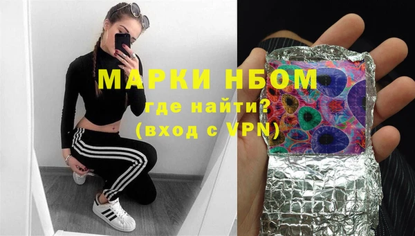 крисы Новозыбков
