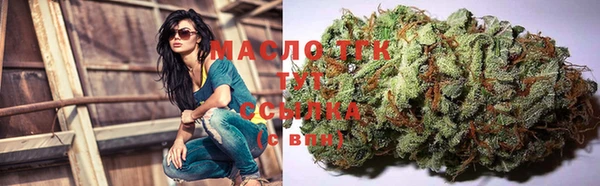 крисы Новозыбков
