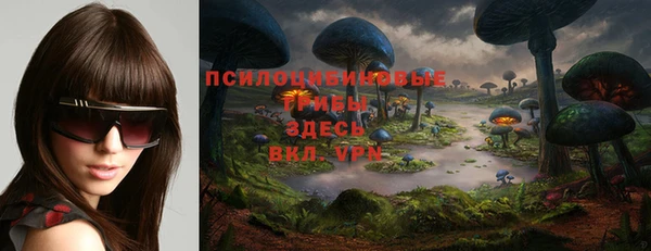 стафф Новодвинск