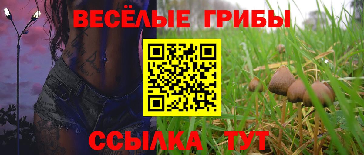 Купить закладку  Кетамин  ГАШ  Вход с VPN  MDMA  Асино  МЕФ   Гашиш 